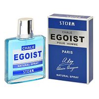 POSITIVE PARFUM EGOIST дезодорант мужской 90мл